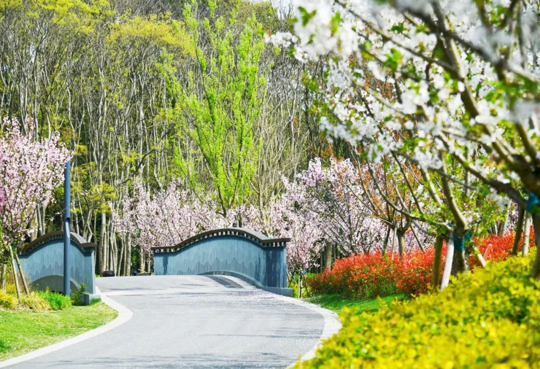 环上桃花源踏青好去处！普陀这些地方不容错过(图6)