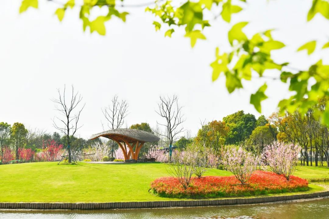 环上桃花源踏青好去处！普陀这些地方不容错过(图7)