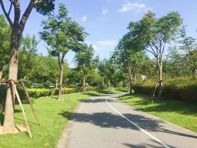 环上桃花源踏青好去处！普陀这些地方不容错过(图11)