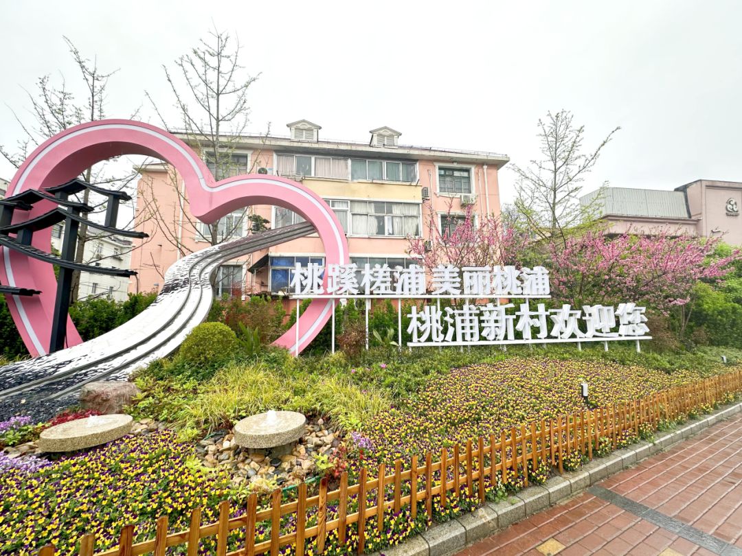 转角遇见绿街头的小美好别错过→(图4)