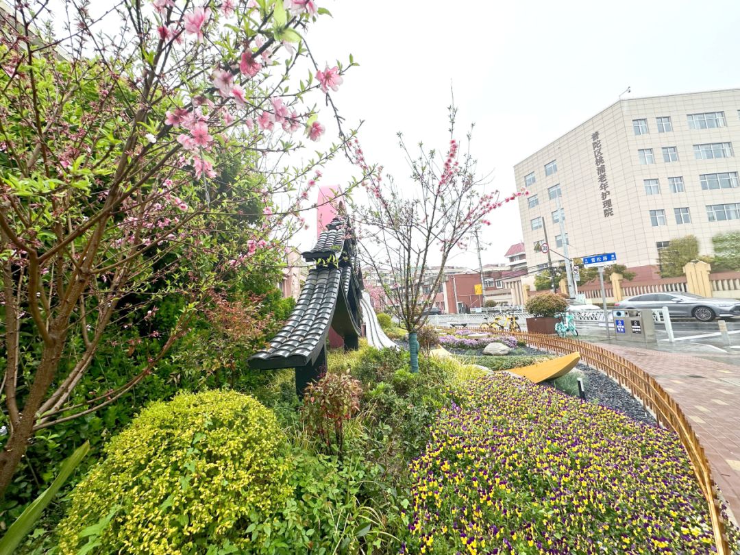 转角遇见绿街头的小美好别错过→(图5)