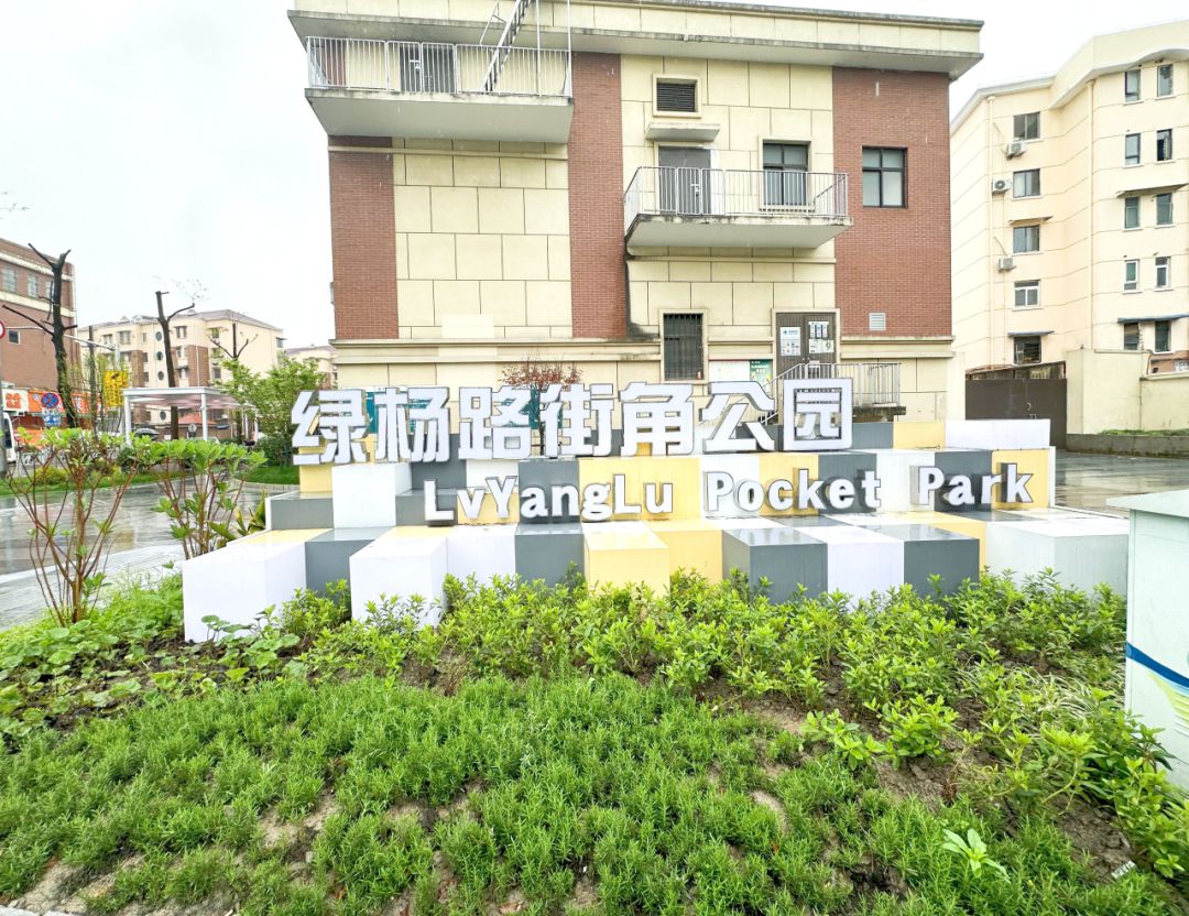 转角遇见绿街头的小美好别错过→(图6)