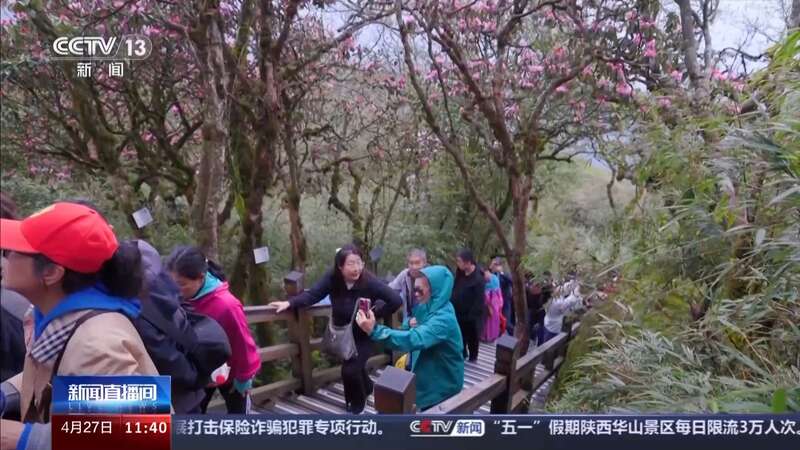 走去草原露营！这些“五一”好去处等你来解锁→(图17)
