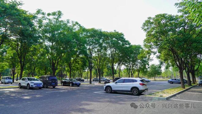 太太太大了！大兴这个新开的公园都去逛了吗？(图5)
