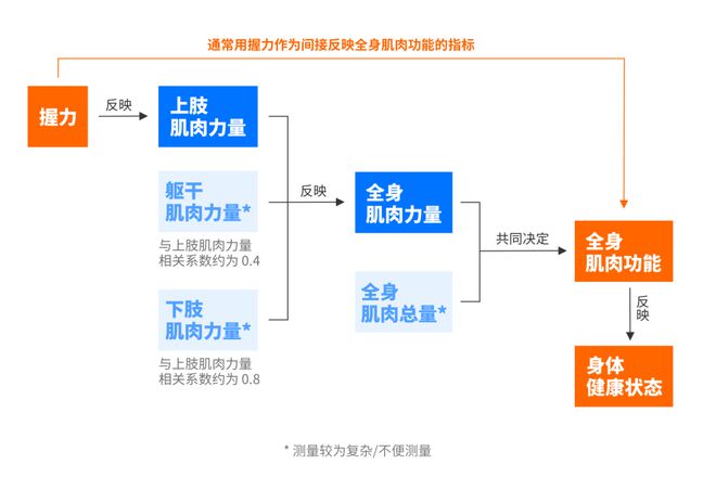 解读上新！你是「天生神力」吗？(图2)