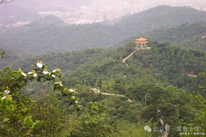 广州5a景区有哪些？解锁广州新玩法！两大5A景区任你畅游！(图12)