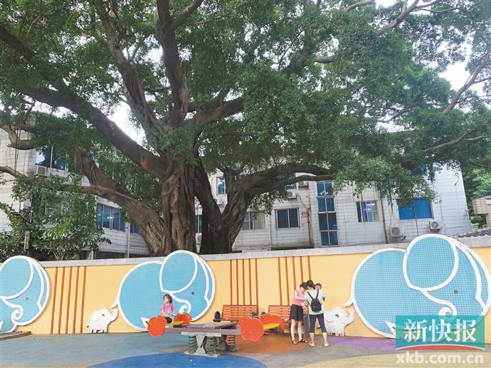 广州公园游玩设施或将增加攀岩滑板场(图7)