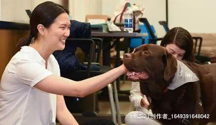 游戏室、桑拿房、攀岩墙!超棒的大学设施交的学费看得见(图4)