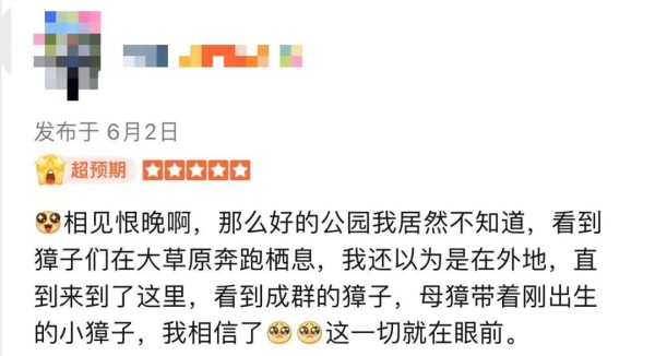 上海“小鹿公园”火了！浦东一座冷门宝藏公园走红！还是免费的！(图10)