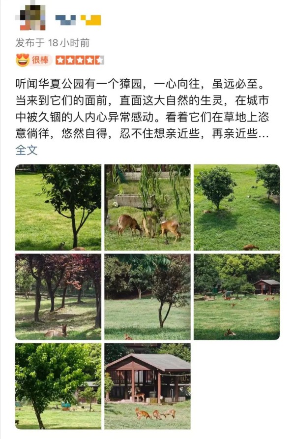 上海“小鹿公园”火了！浦东一座冷门宝藏公园走红！还是免费的！(图11)