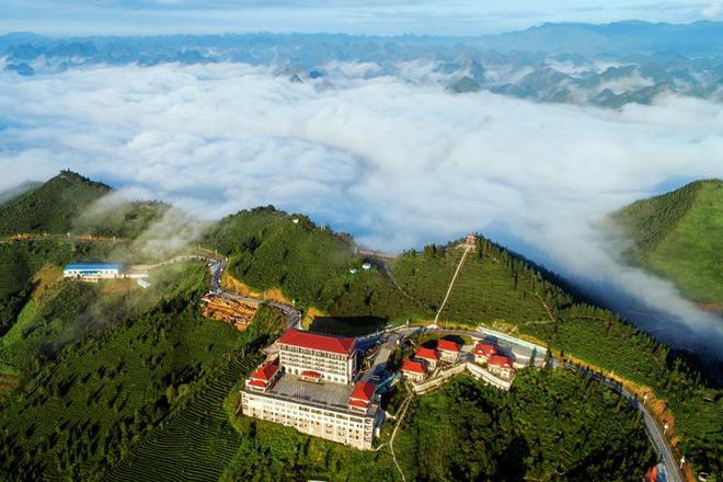 广西乐业：加快文旅发展绘就“最美县域”(图2)