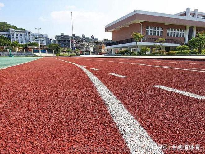 塑胶跑道类型详解：选择最适合的跑道材质(图4)