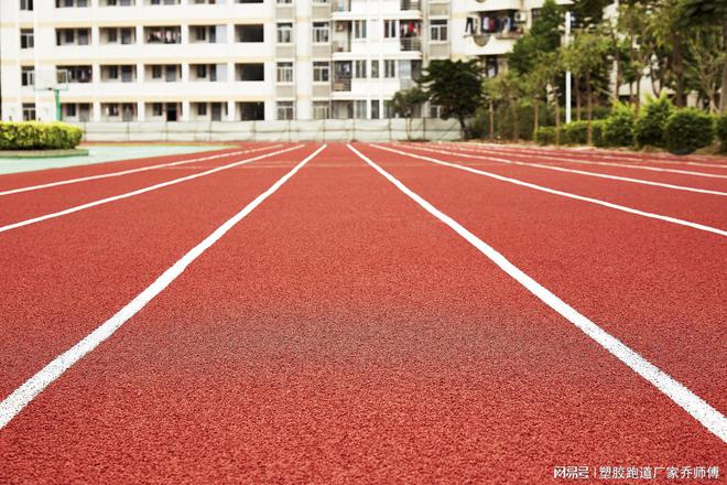 揭秘塑胶跑道：多样类型及其特性全解析(图3)