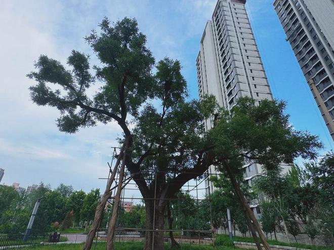 华曦府售楼处-丰台华曦府网站-欢迎您丨2024最新房价-详情(图2)