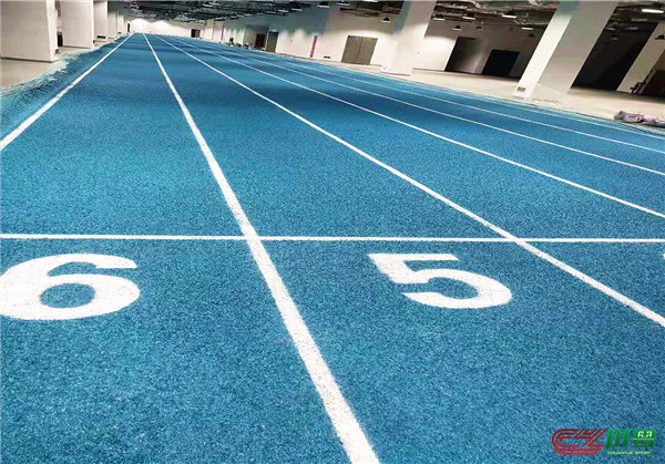 什么是塑胶跑道？(图4)