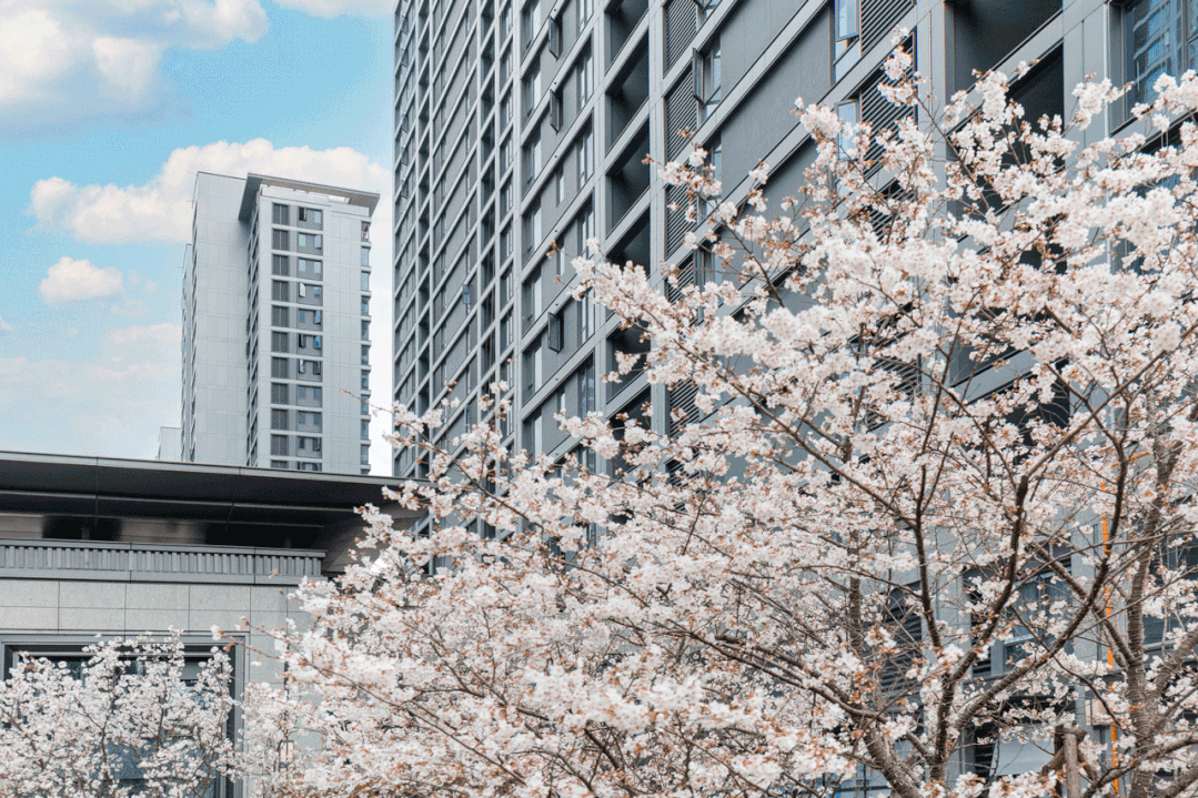 绍兴金樾玖著售楼处电话→权威发布→首页网站→楼盘详情(图10)