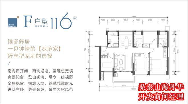 桑泰山海丹华上什么学校学区划分属于什么学校好不好(图5)
