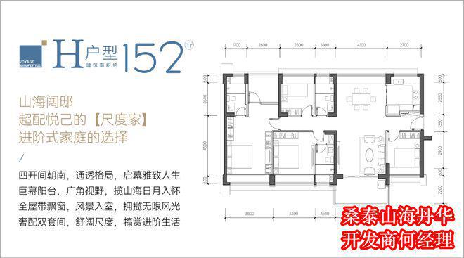 桑泰山海丹华上什么学校学区划分属于什么学校好不好(图7)