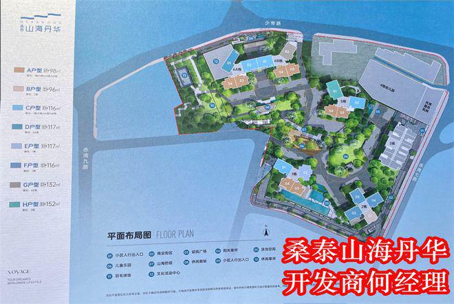 桑泰山海丹华上什么学校学区划分属于什么学校好不好(图12)