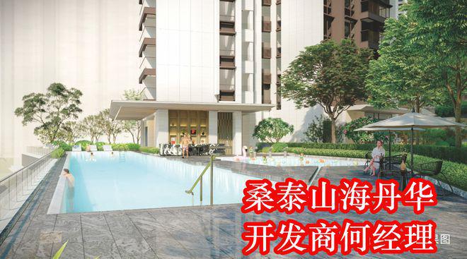 桑泰山海丹华上什么学校学区划分属于什么学校好不好(图13)