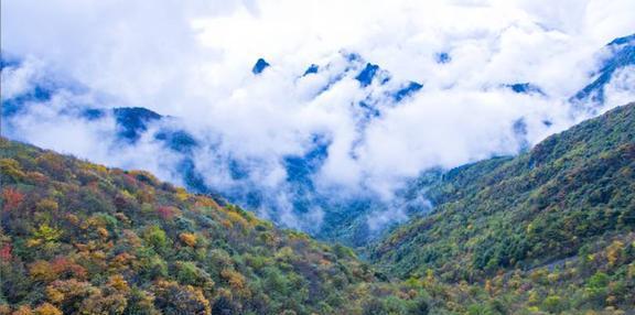 巫溪红池坝又添新耍法攀岩斗法草地策马！(图6)