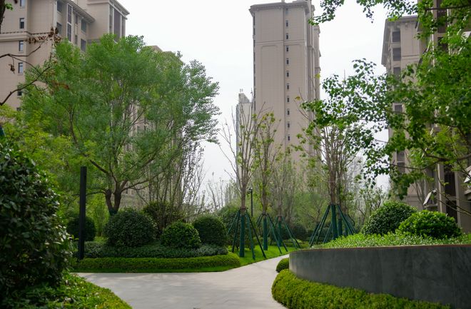 业界典范！这才是对“产品兑现力”的硬核诠释！(图19)