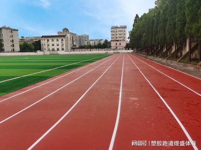 全塑型跑道的结构特点与优势详解(图1)
