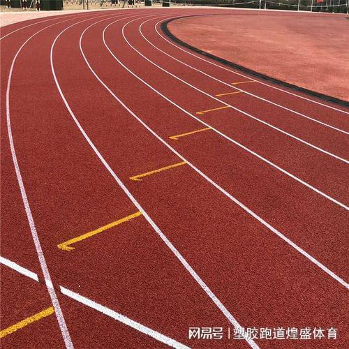 全塑型跑道的结构特点与优势详解(图2)