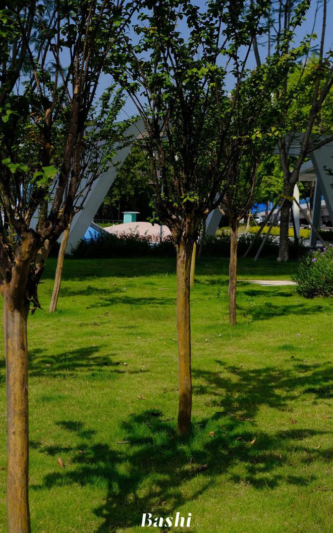 天气“微凉”这个公园真的好chill(图5)