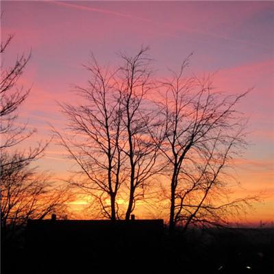 四不像正版+正版四不像