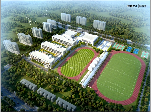 聚焦居民所盼所需满足居民美好生活需要——平度市凤台街道民生项目实事件件落地见效(图2)