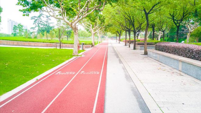 塑胶跑道基础结构(图5)