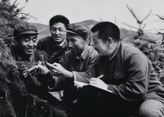 二人成队+三代坚守+四季无休+五层独楼=？(图8)