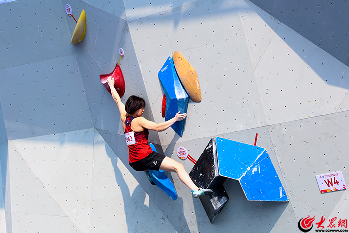 “岩壁芭蕾”绽放泰安2024亚洲攀岩锦标赛开赛(图3)