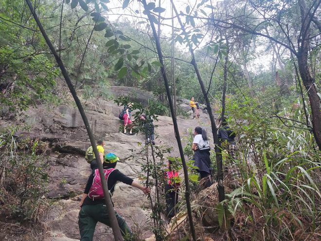 重庆悬崖上的步道居然有小朋友去攀登(图2)