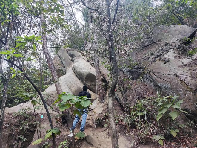 重庆悬崖上的步道居然有小朋友去攀登(图5)