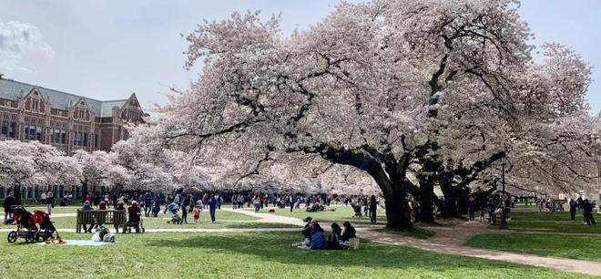 美国有哪些不高但就读体验超棒的大学？刚开学我就真香了(图2)