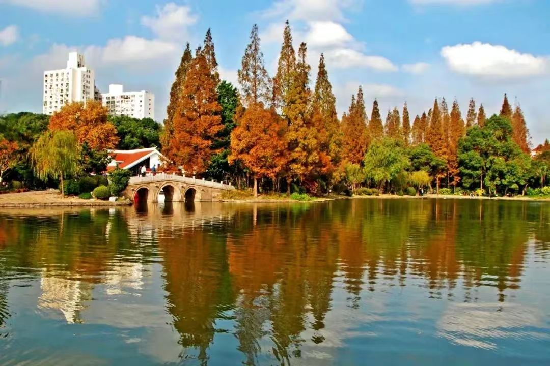 老场馆激发新活力(图9)