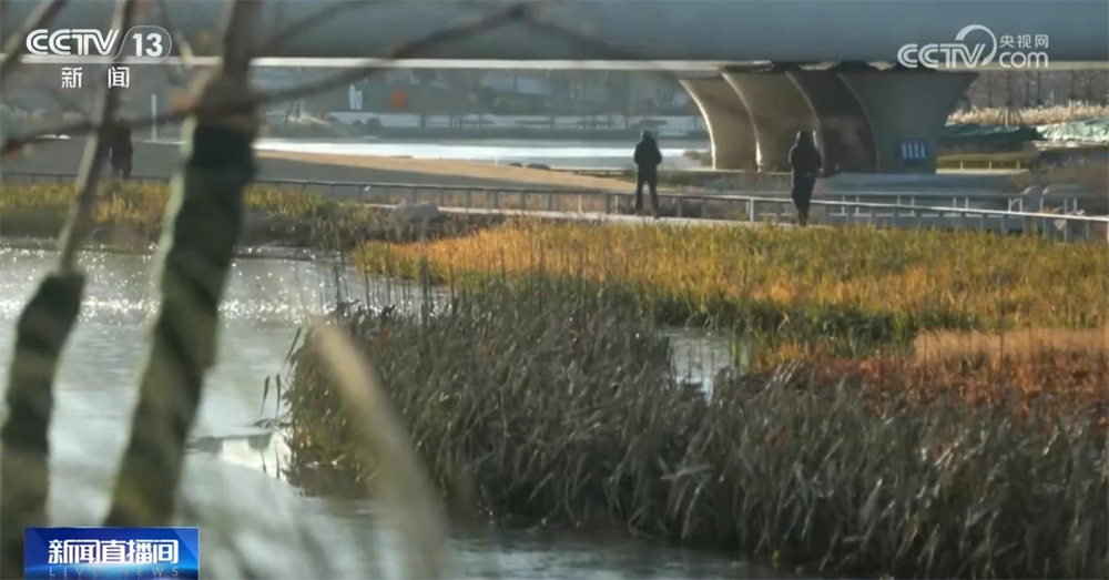 从民生一件事勾勒居民“尽精微”幸福坐标共绘“致广大”壮美画卷(图12)