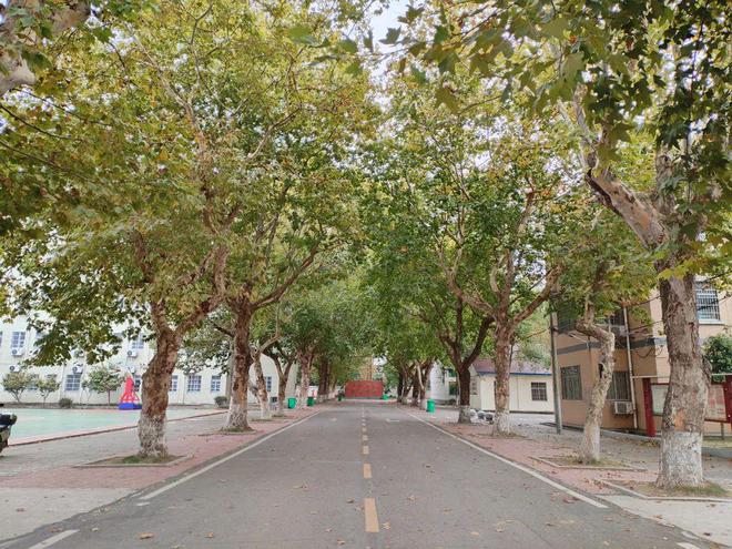 回忆母校（7）：华容县华一明辉中学(图2)