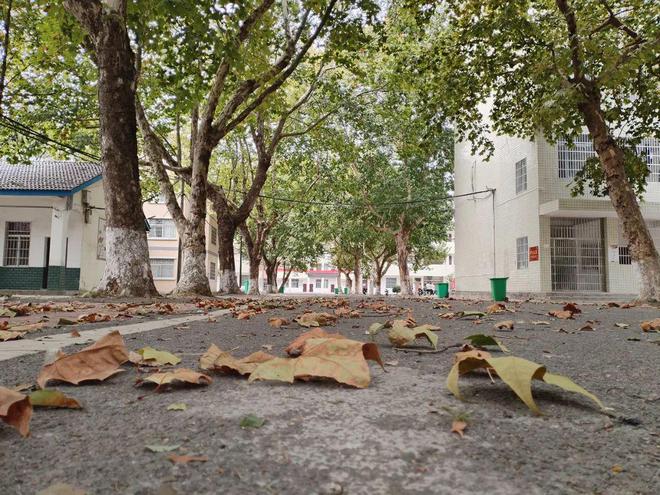 回忆母校（7）：华容县华一明辉中学(图3)