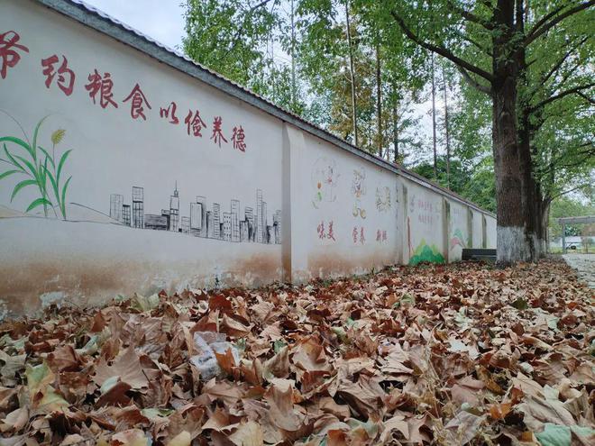 回忆母校（7）：华容县华一明辉中学(图5)