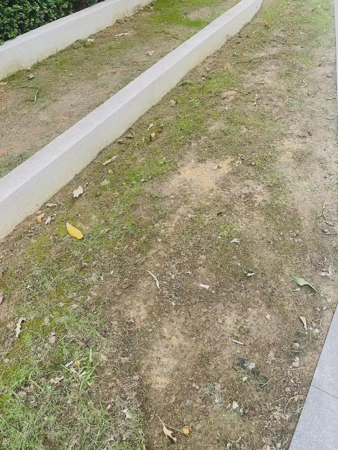 才交付一年！温州这个小区曝出事