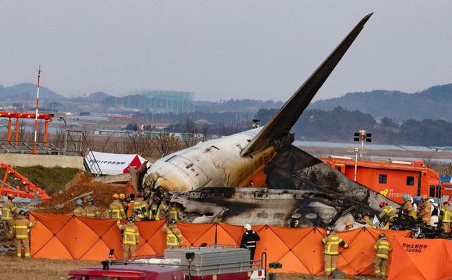 惊天揭秘！韩国客机失事真相揭晓：罪魁祸首并非飞鸟！(图2)