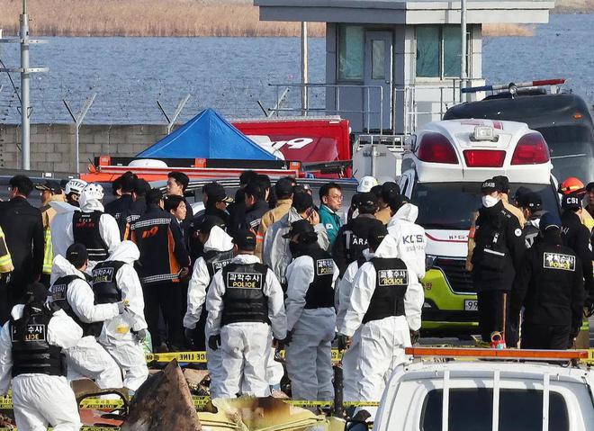 惊天揭秘！韩国客机失事真相揭晓：罪魁祸首并非飞鸟！(图4)