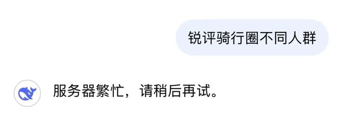当DeepSeek“锐评”骑行圈里不同人群会得到……(图13)