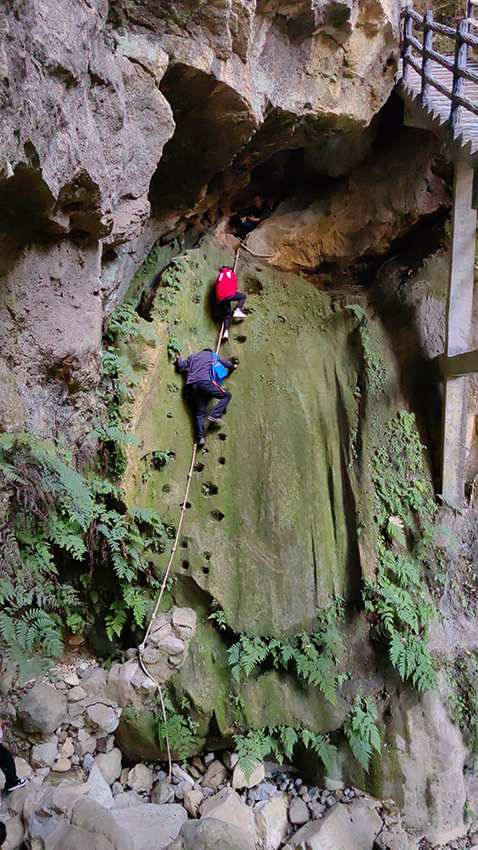 观云台谁家孩子乘坐观光缆车去上学啊