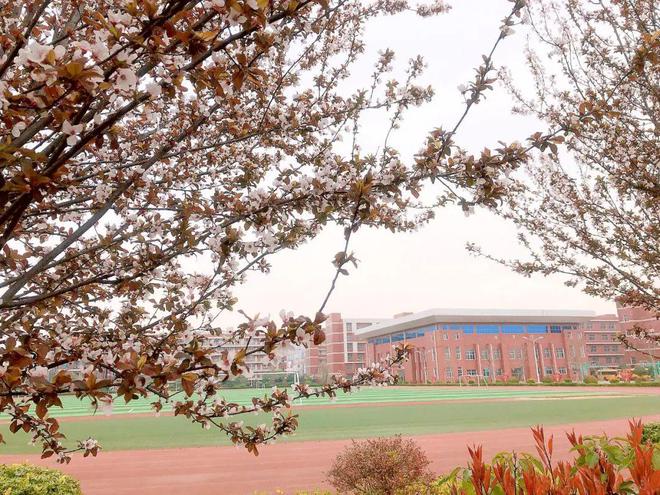 光山县慧泉中学2025初中教师招聘问答(图2)