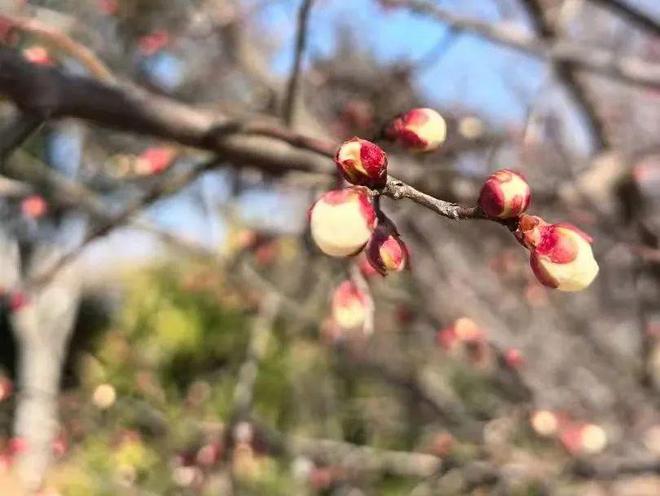 光山县慧泉中学2025初中教师招聘问答(图3)