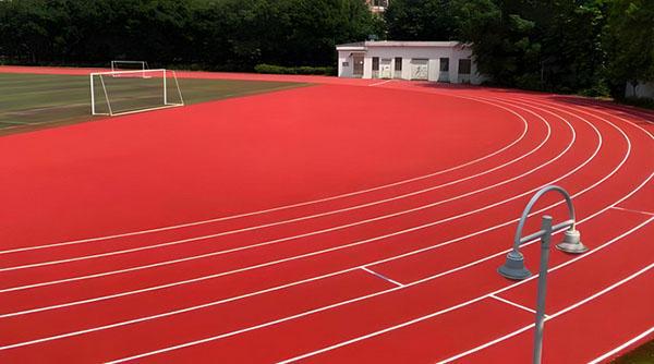 2025塑胶跑道品牌排行榜塑胶跑道知名品牌有哪些(图10)
